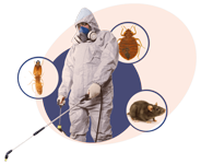 Pest-o-Rid certifications and awards