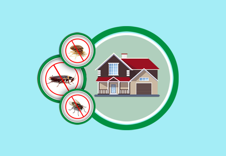 Residential pest control services Navi Mumbai